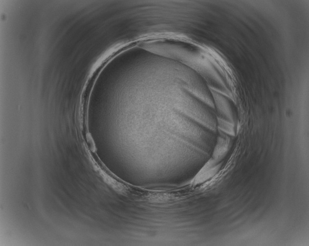X0000086291046200704090950