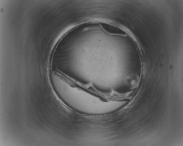 X0000086291048200704090950