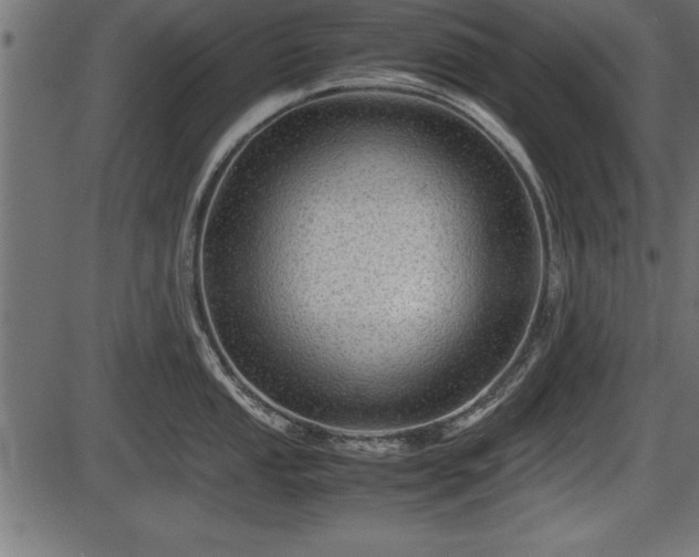 X0000086291053200704090950