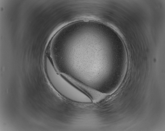 X0000086291056200704090951