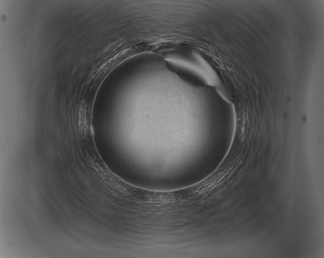 X0000086291058200704090950