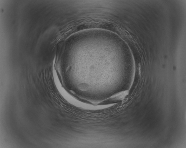 X0000086291059200704090950