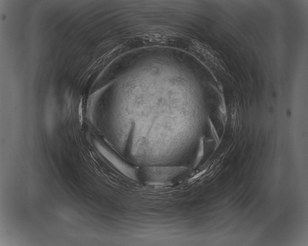 X0000086291060200704090950