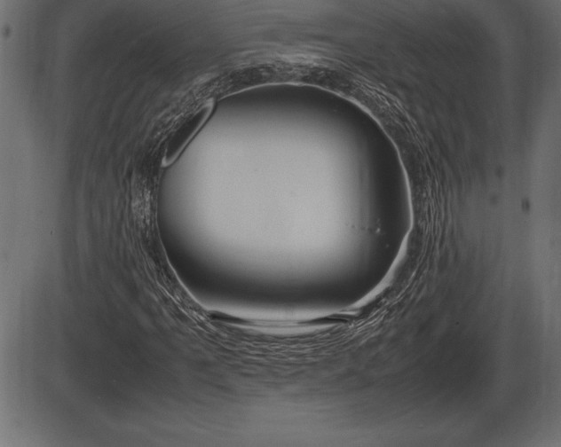 X0000086291061200704090950