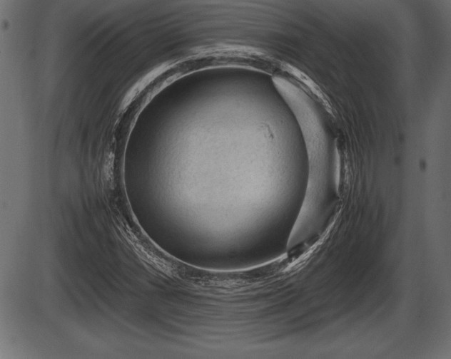 X0000086291066200704090950