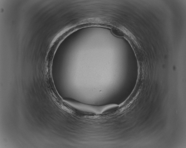 X0000086291070200704090950
