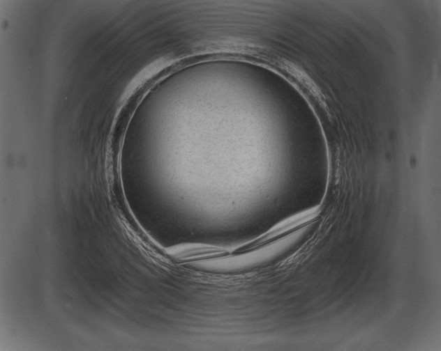 X0000086291072200704090949
