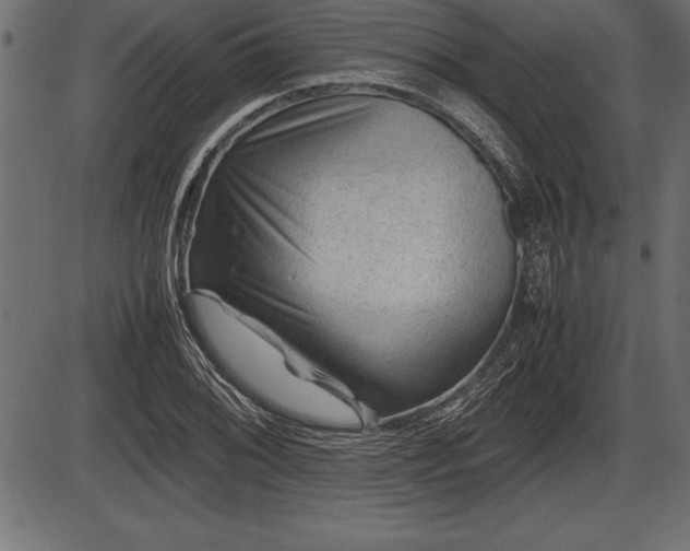 X0000086291076200704090949