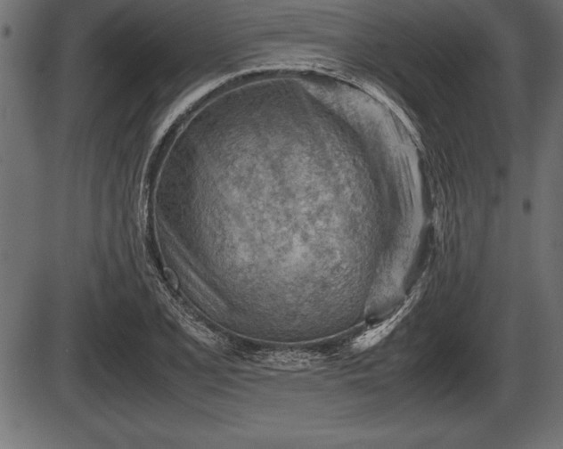 X0000086291077200704090949