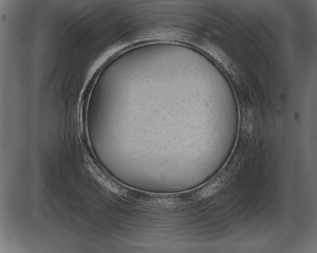 X0000086291078200704090949