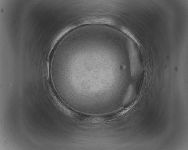 X0000086291079200704090949