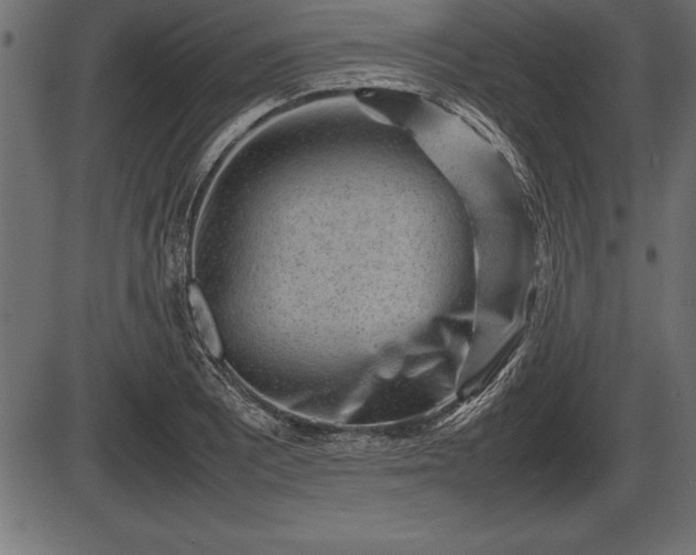 X0000086291081200704090949