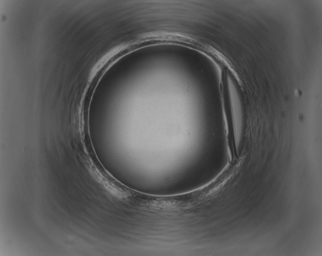 X0000086291082200704090949