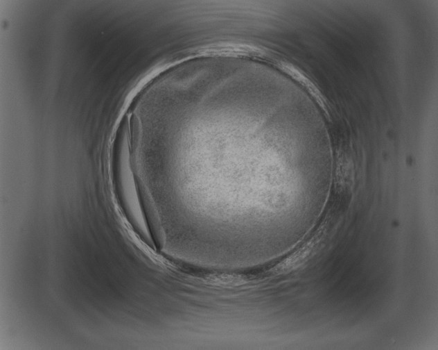 X0000086291083200704090949