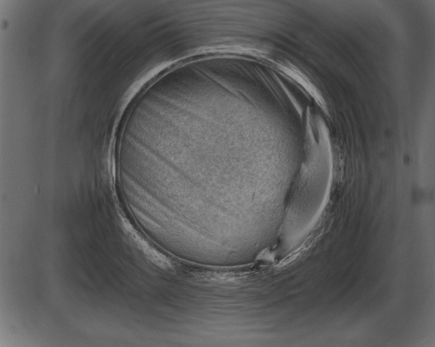 X0000086291084200704090949