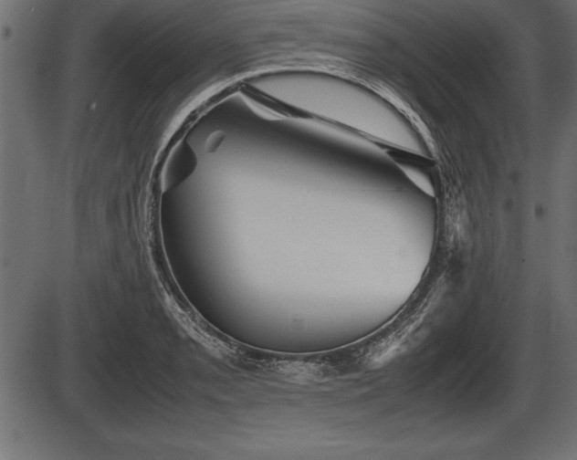 X0000086291085200704090949