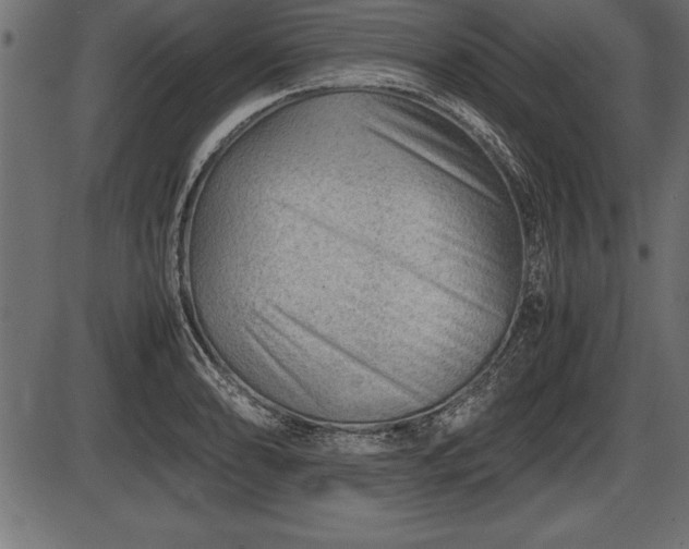 X0000086291086200704090949