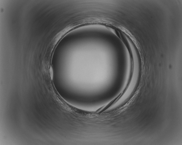 X0000086291089200704090949
