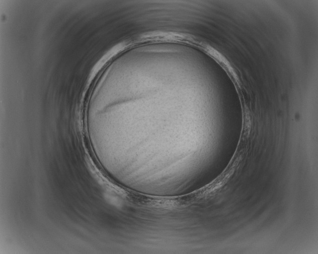 X0000086291090200704090949