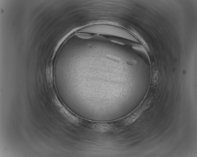 X0000086291092200704090949