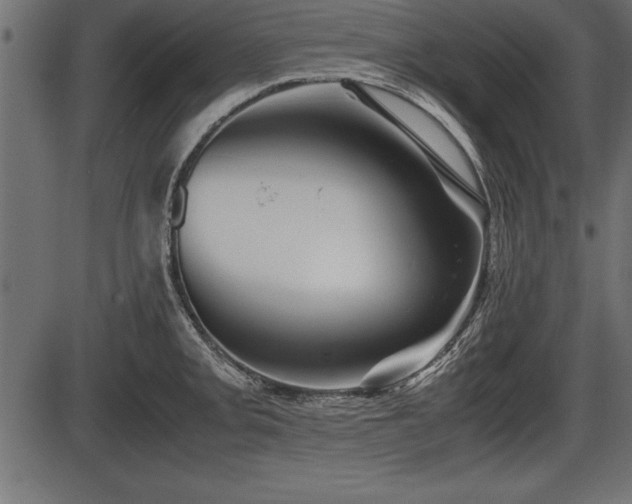 X0000086291093200704090949