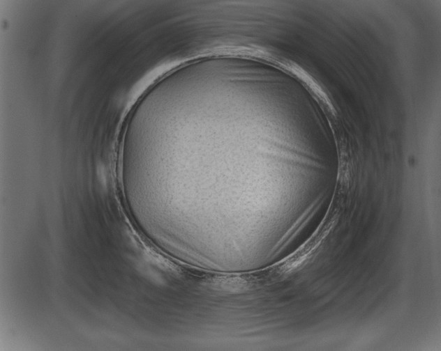 X0000086291094200704090949
