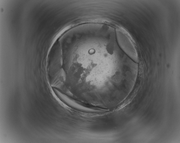 X0000086291095200704090949