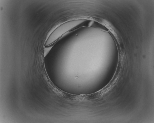 X0000086291097200704090949