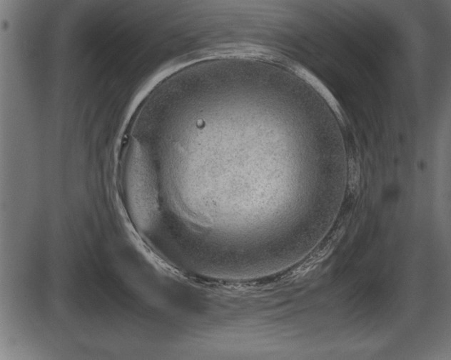 X0000086291099200704090949