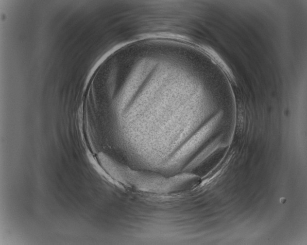 X0000086291100200704090949