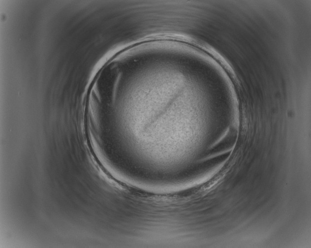 X0000086291102200704090949