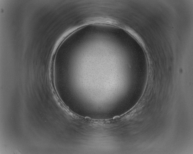 X0000086291104200704090949