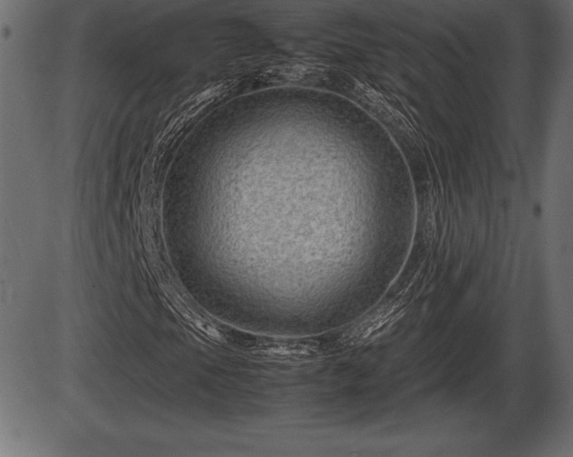 X0000086291105200704090948