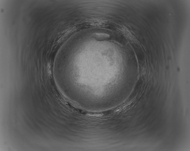 X0000086291106200704090948