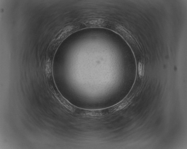 X0000086291107200704090948