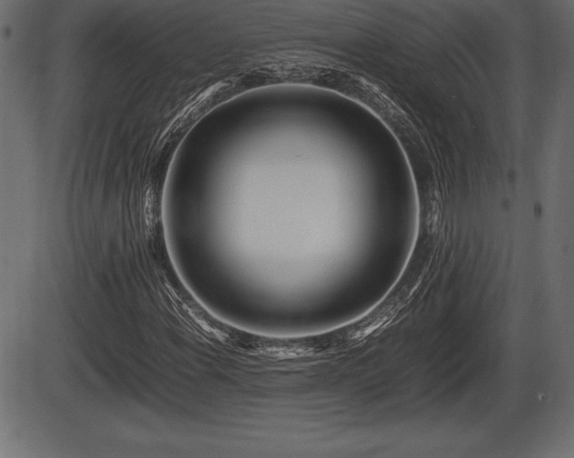 X0000086291108200704090948