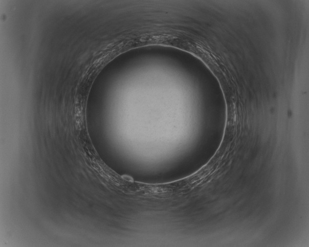 X0000086291109200704090948