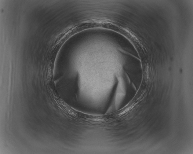 X0000086291110200704090948