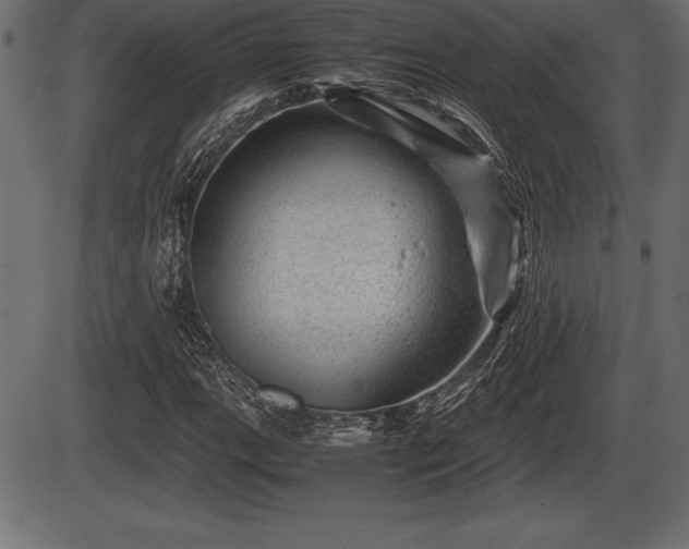 X0000086291111200704090948