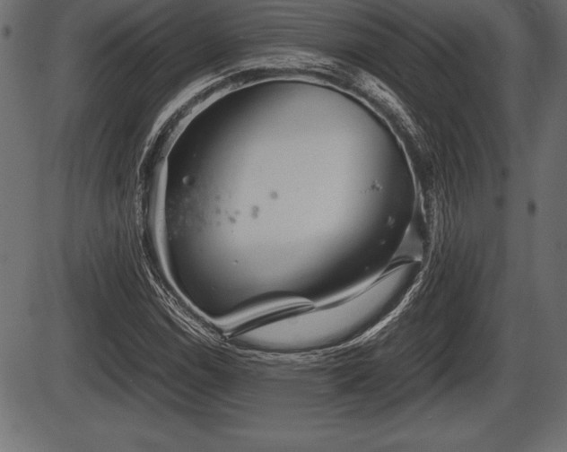X0000086291114200704090948