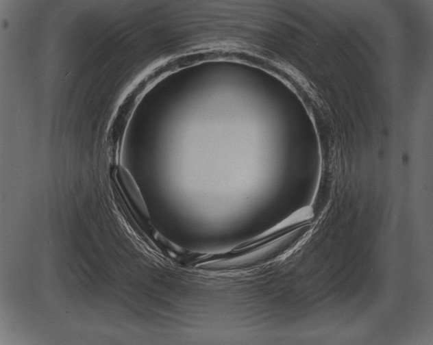 X0000086291118200704090948