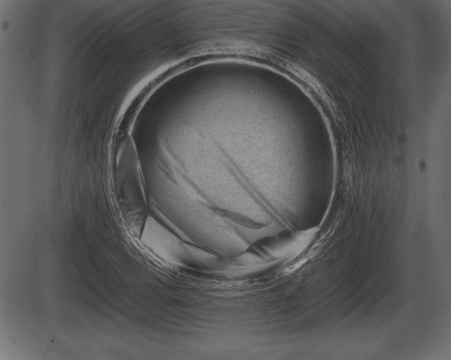 X0000086291120200704090948