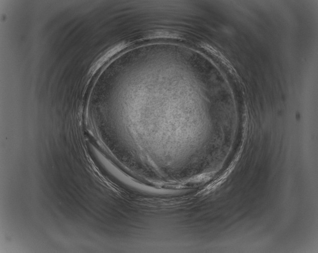X0000086291121200704090948