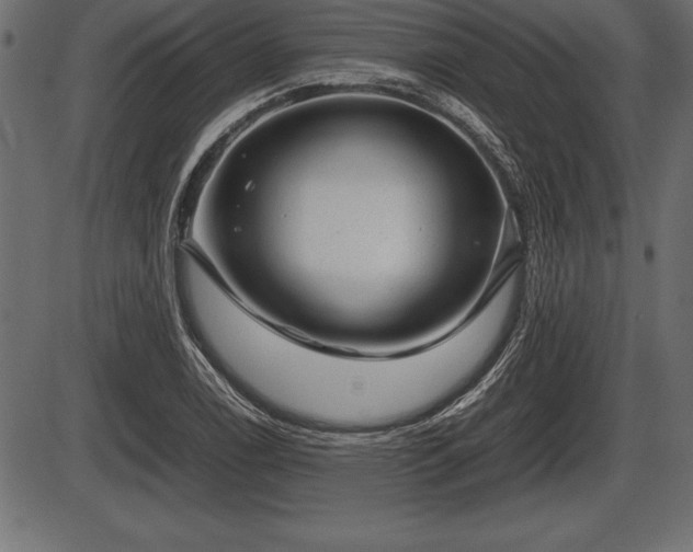 X0000086291122200704090948