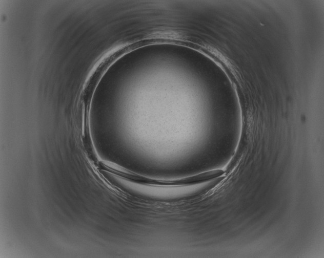 X0000086291123200704090948