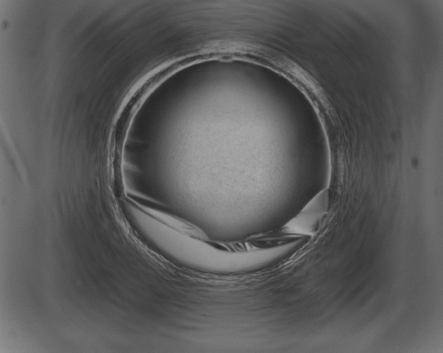 X0000086291124200704090948