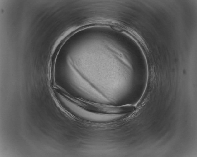 X0000086291128200704090949
