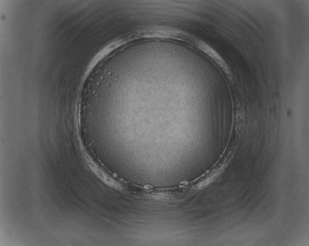 X0000086291130200704090949