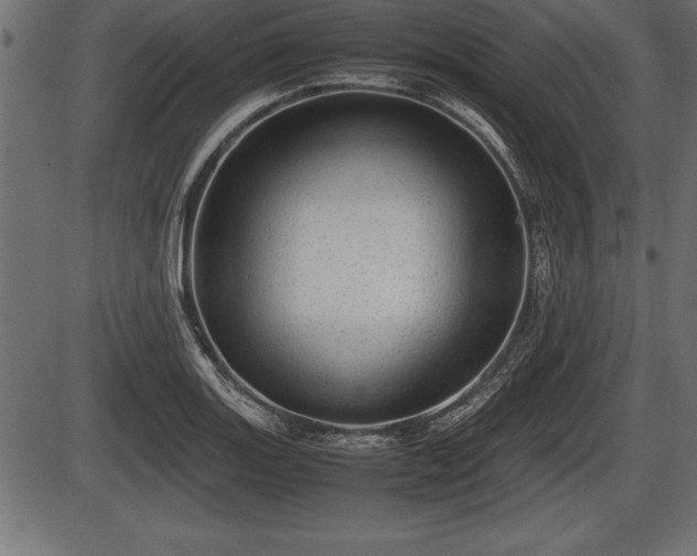 X0000086291131200704090949