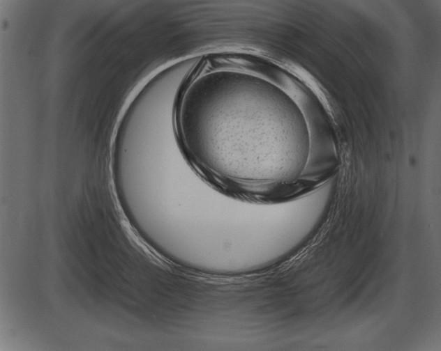 X0000086291132200704090949